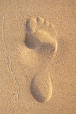 footprint.jpg