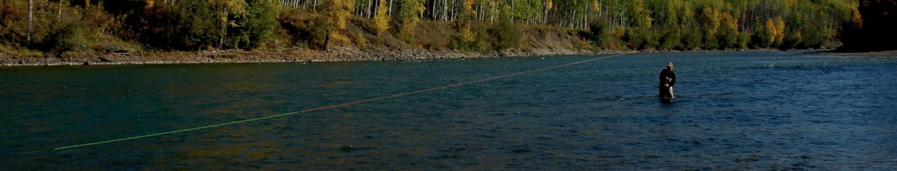 Fly Lines