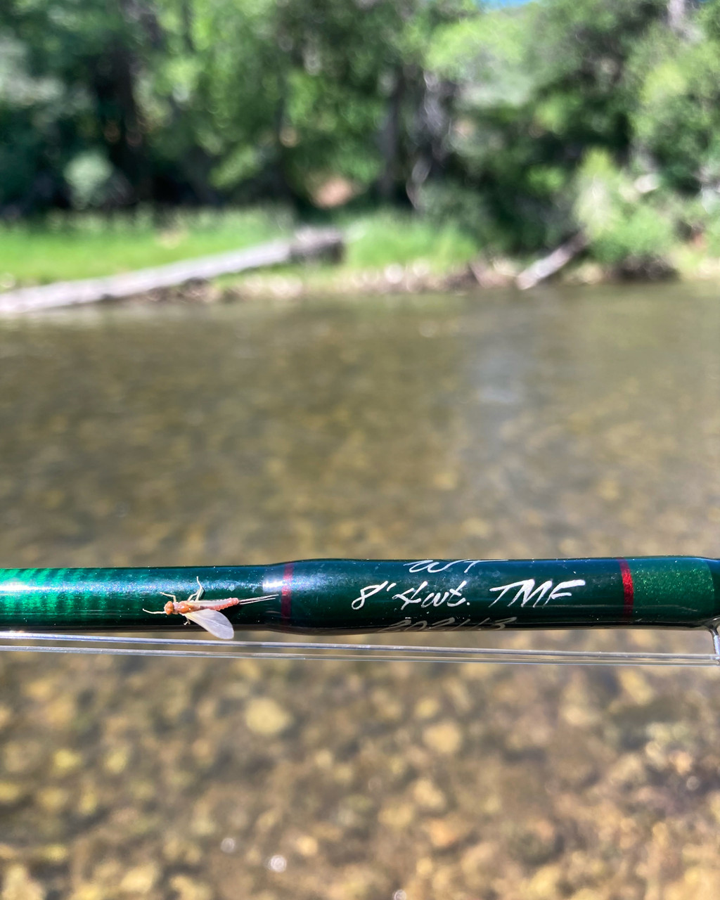 Winston Tom Morgan Favorite Fly Rod 8' 4wt - Western Rivers Flyfisher