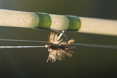 Fly Tying Demo Kick-off
