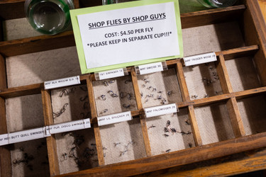 What’s a Fly Worth?