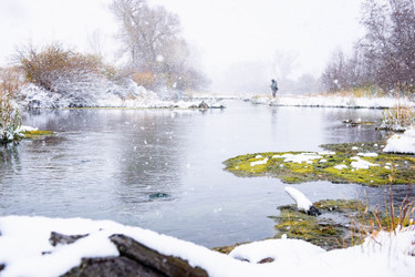 Western Rivers Flyfisher Winter Events