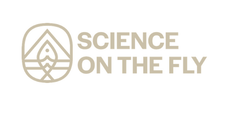 Science on the Fly: Provo River Data Summary