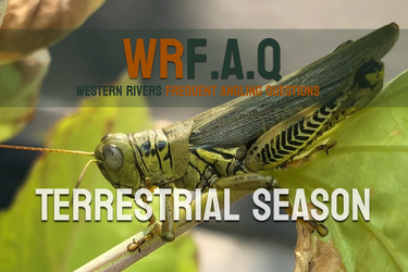 [WR]F.A.Q - Terrestrial Season