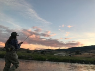 Local Waters