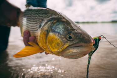 Event: SET Flyfishing Roadshow
