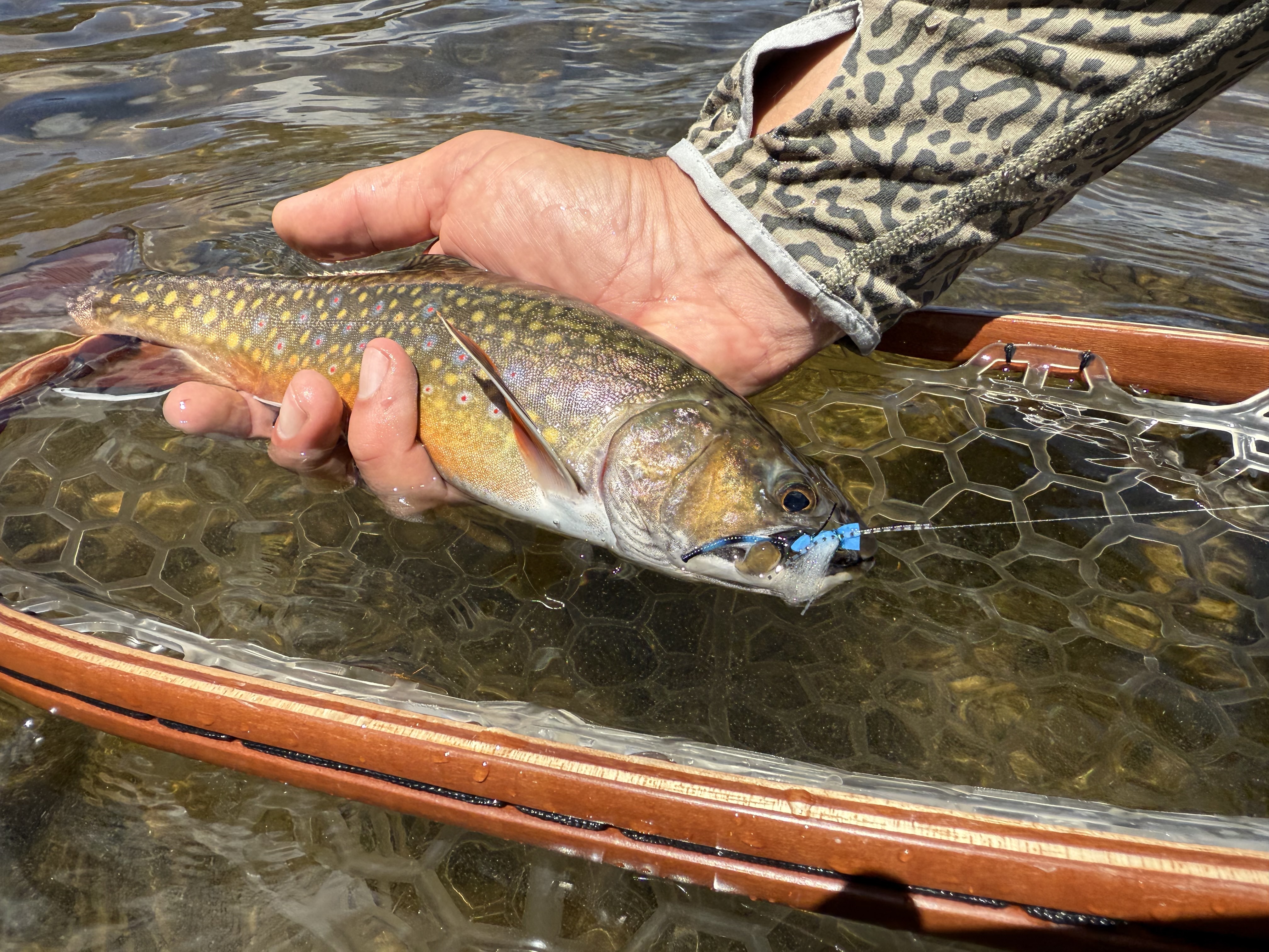 Blog: WRF.A.Q - High Country Fishing