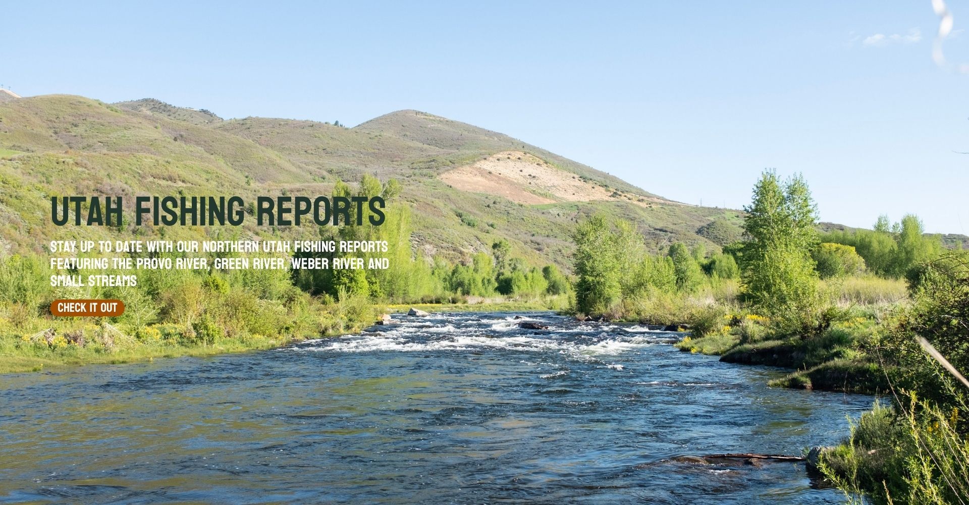 Western Rivers Flyfisher