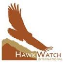 hawk-watch.jpeg