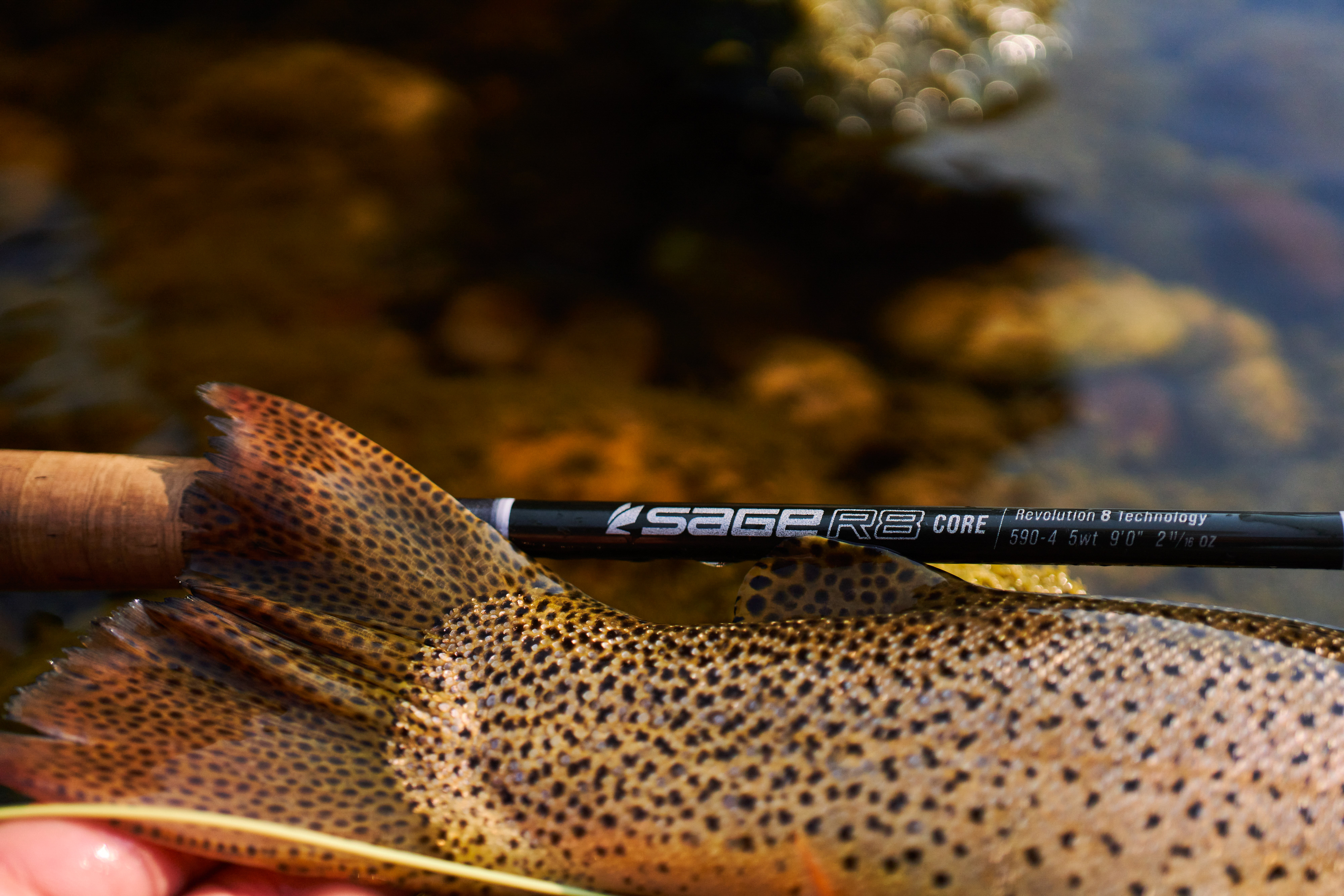 First Casts: Sage R8 Core Fly Rod Series - Western Rivers Flyfisher