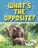 What'S The Opposite?: A Turn-And-See Book
