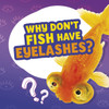 Why Don'T Fish Have Eyelashes?