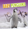 Baby Penguins
