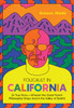 Foucault in California: [A True Story-Wherein the Great French Philosopher Drops Acid in the Valley of Death]