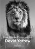 David Yarrow: How I Make Photographs