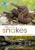 RSPB Spotlight Snakes