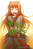 Spice and Wolf, Vol. 16 - Novel: The Coin of the Sun II