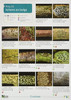 A Key to Lichens on Twigs