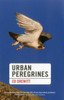 Urban Peregrines