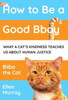 How to be a Good Bboy: What a cat's kindness can teach us about human justice