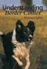 Understanding Border Collies
