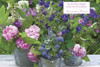 Decorative Flowers