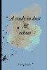 A study in dust and echoes