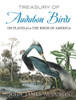 Treasury of Audubon Birds: 130 Plates from the Birds of America