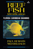 Reef Fish Identification: Florida Caribbean Bahamas