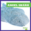 Angel Shark