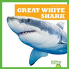 Great White Shark