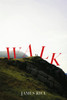 Walk: A Novel