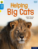 Oxford Reading Tree Word Sparks: Level 3: Helping Big Cats