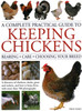 Keeping Chickens, Complete Practical Guide to: Rearing; Care; Choosing Your Breed: A directory of chickens, ducks, geese and turkeys, and how to keep them, with over 700 photographs