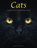 Cats: A Celebration of our Feline Friends