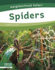 Neighborhood Safari: Spiders