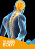The Human Body