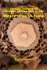 Criacao racional de abelhas nativas sem ferrao: Meliponicultura