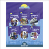 Phonic Books Hidden in Paris: Alternative vowel and consonant spellings, and Latin suffixes