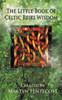The Little Book of Celtic Reiki Wisdom