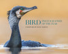 Bird Photographer of the Year: Collection 10