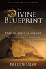 The Divine Blueprint: Temples, power places, and the global plan to shape the human soul.