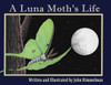 A Luna Moth's Life