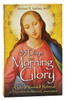 33 Days to Morning Glory: A Do-It-Yourself Retreat