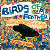 Birds of a Feather: Bowerbirds and Me
