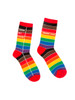 Library Card Pride Socks - Small