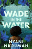 Wade in the Water: A Novel