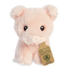 Eco Nation Mini Pig