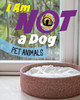 I Am Not a Dog: Pet Animals