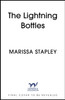 The Lightning Bottles: An absolutely gripping and heartbreaking page-turner